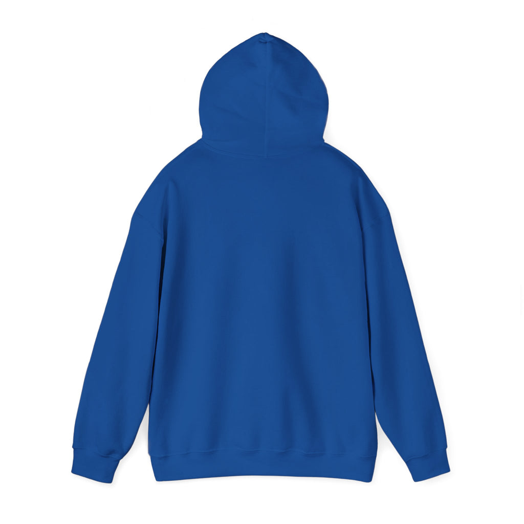Hoodie - "Hot Flashes & Zero Tolerance" Retro Graphic Women’s Men’s Menopause Humor Pullover
