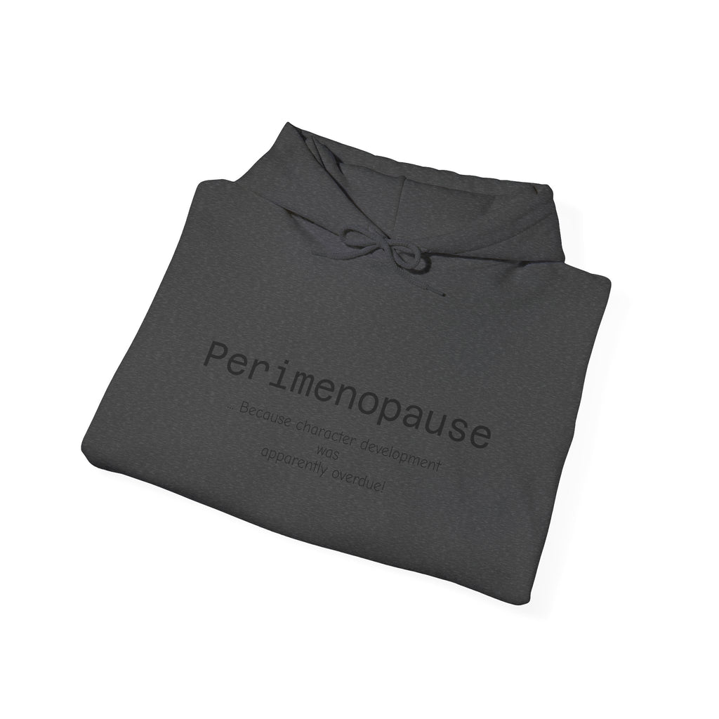 Perimenopause Hoodie — Minimalist Awareness Sweatshirt for Women