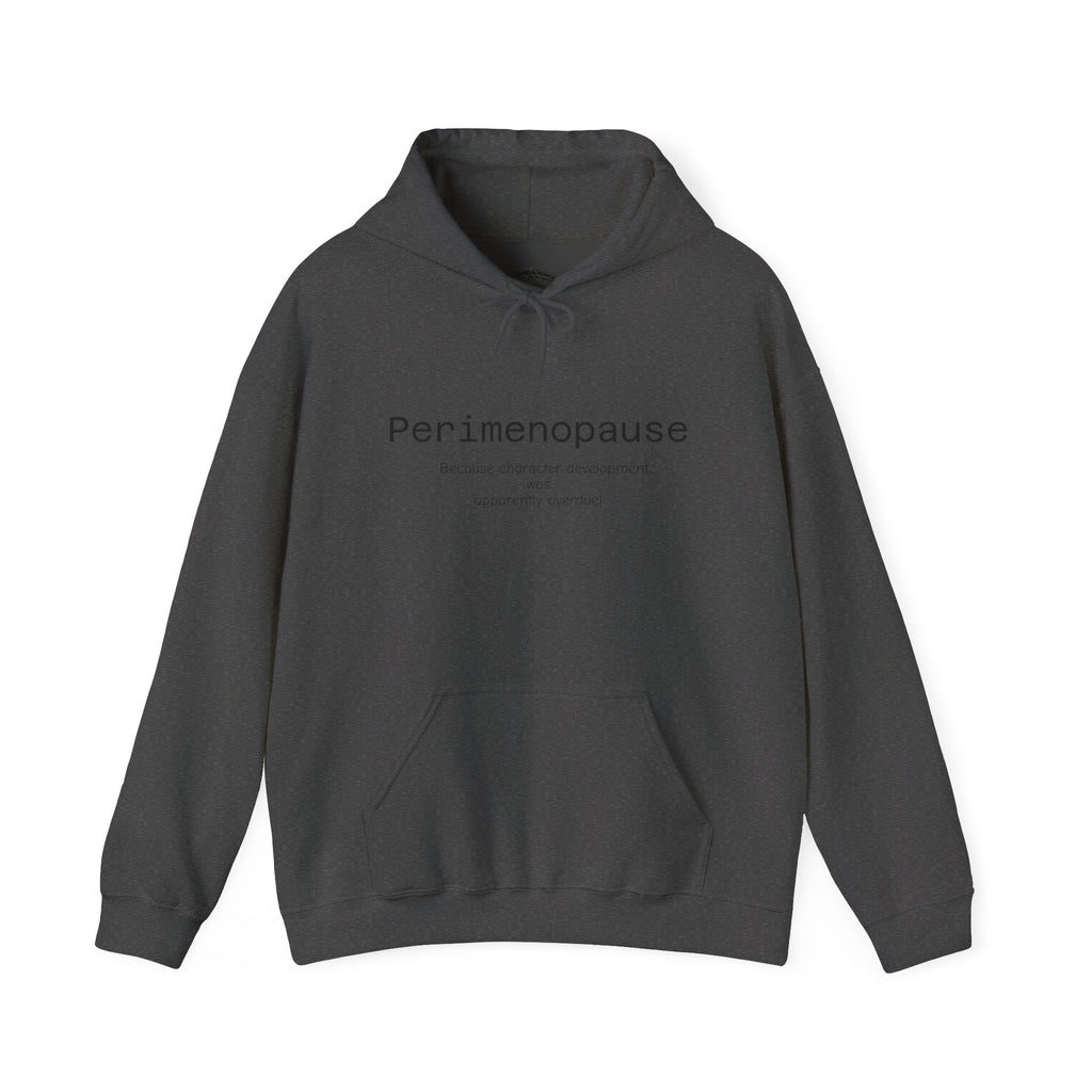 Perimenopause Hoodie — Minimalist Awareness Sweatshirt for Women