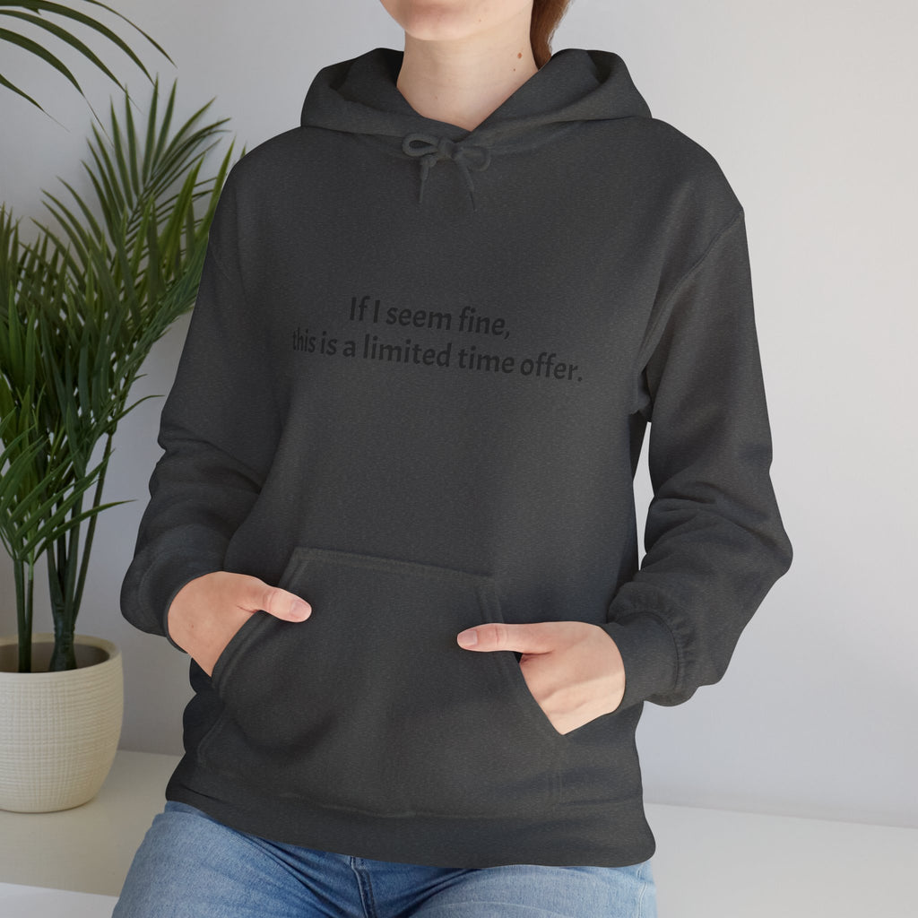 Hoodie — “If I seem fine, this is a limited time offer.” Minimal Comfort Pullover