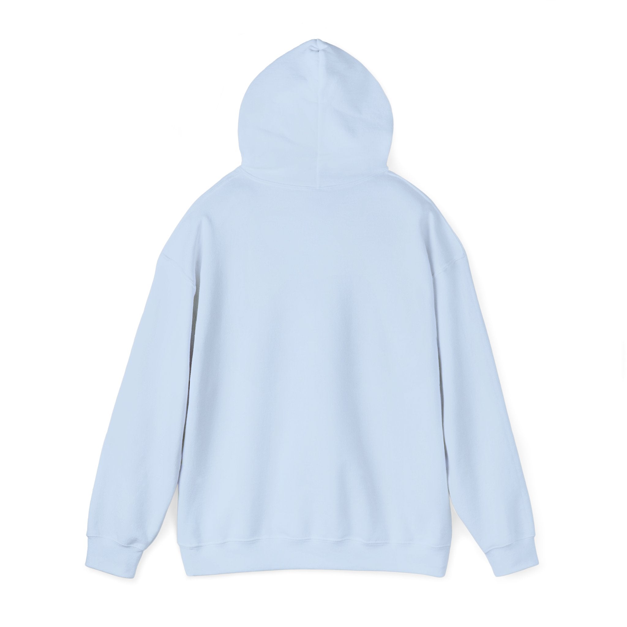 Hoodie - "Hot Flashes & Zero Tolerance" Retro Graphic Women’s Men’s Menopause Humor Pullover