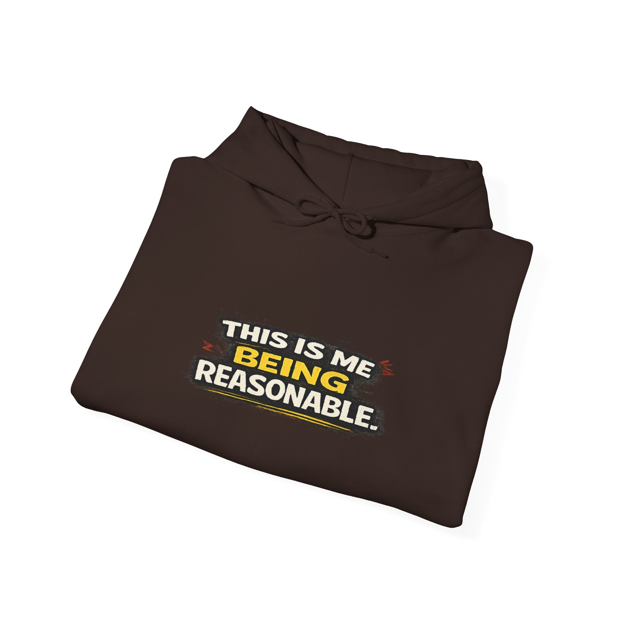 Hoodie — "This Is Me Being Reasonable" Graphic Pullover