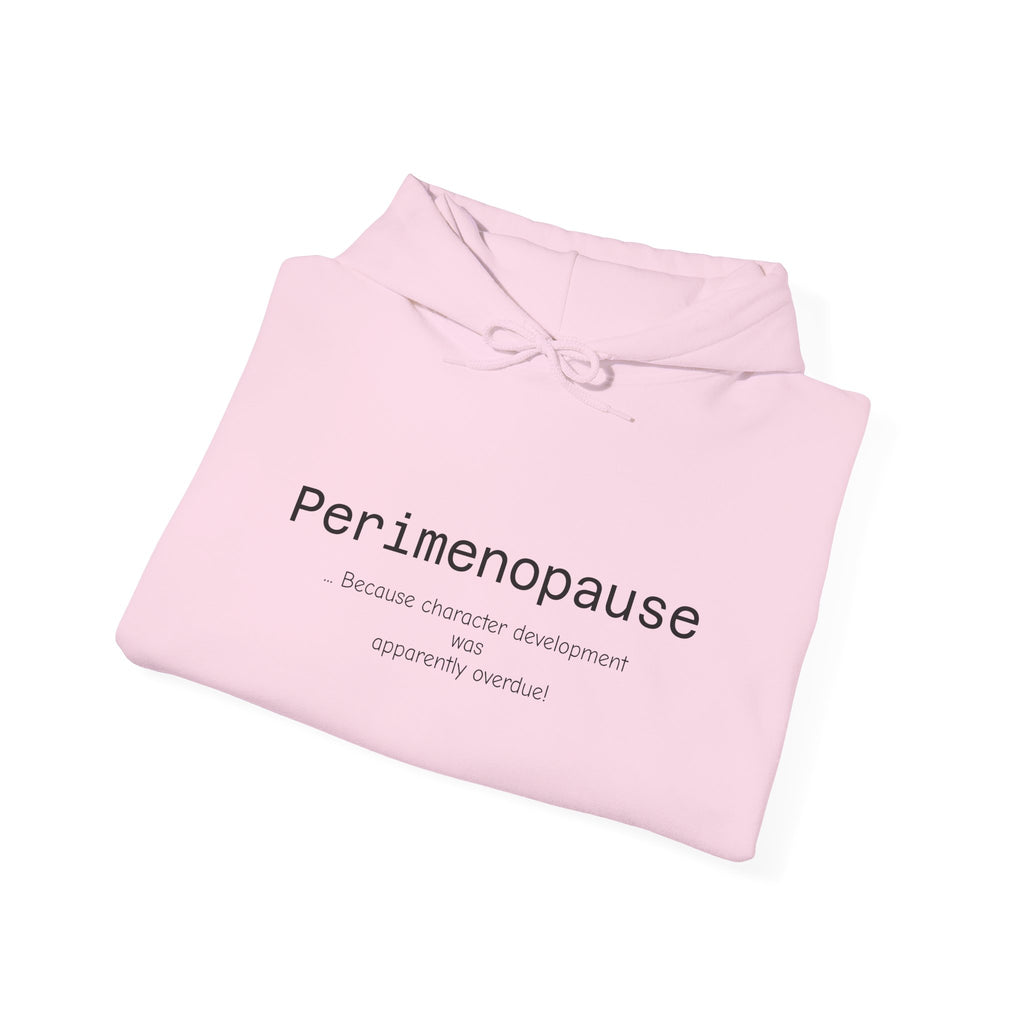 Perimenopause Hoodie — Minimalist Awareness Sweatshirt for Women