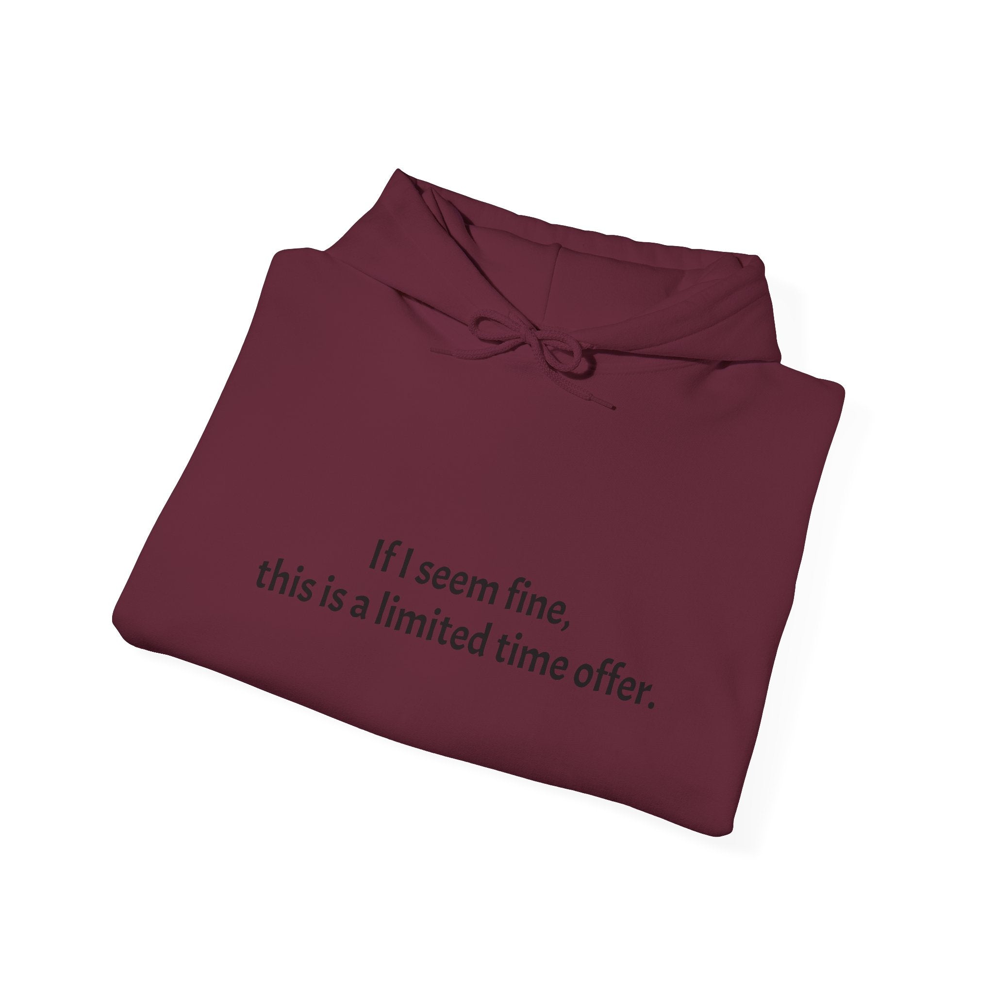 Hoodie — “If I seem fine, this is a limited time offer.” Minimal Comfort Pullover
