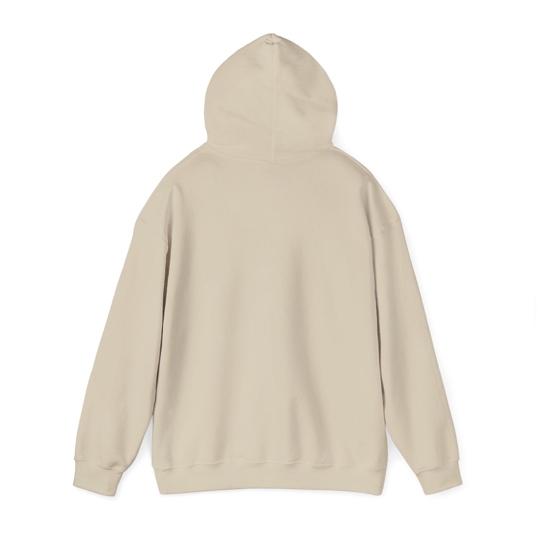 Perimenopause Hoodie — Minimalist Awareness Sweatshirt for Women