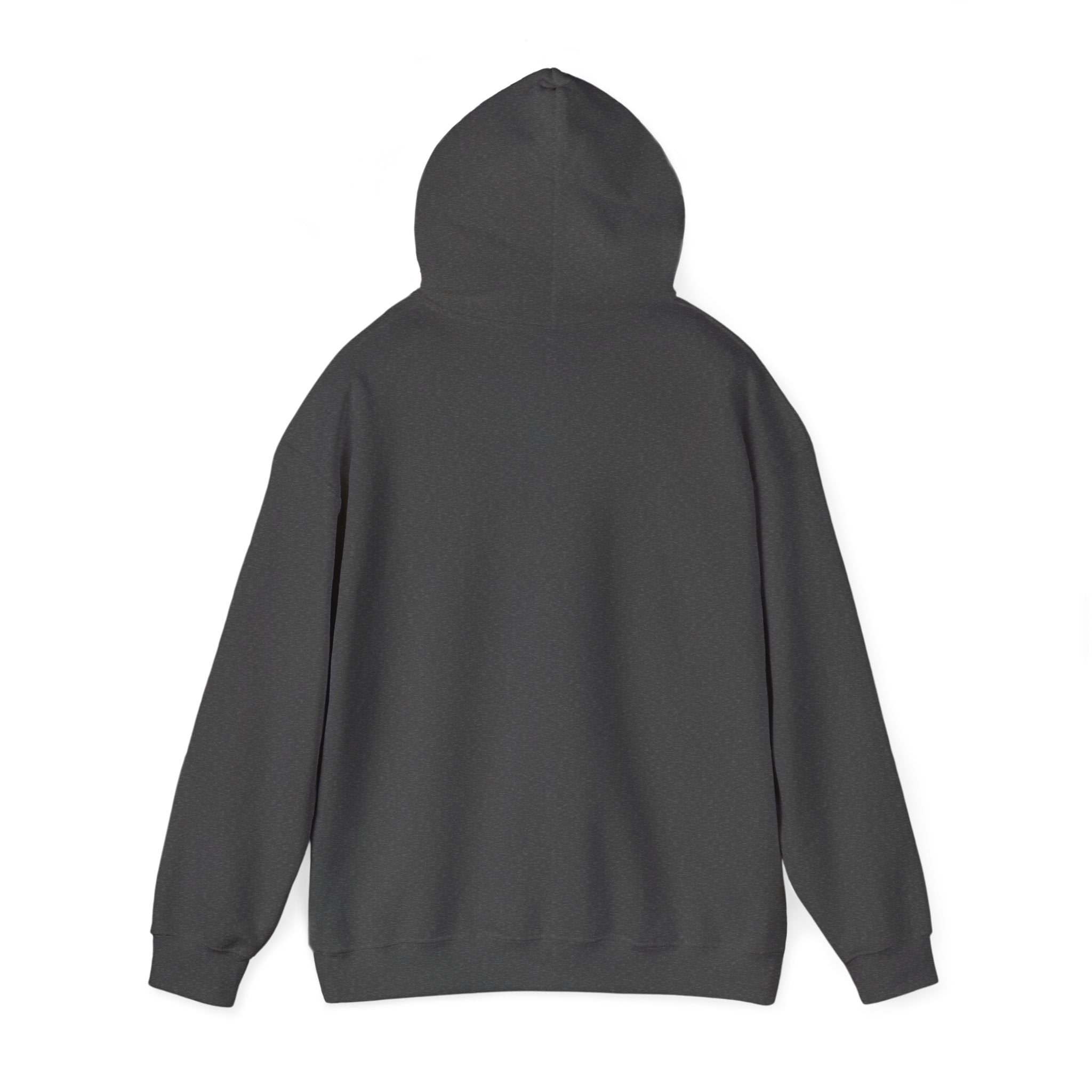 Hoodie — "This Is Me Being Reasonable" Graphic Pullover