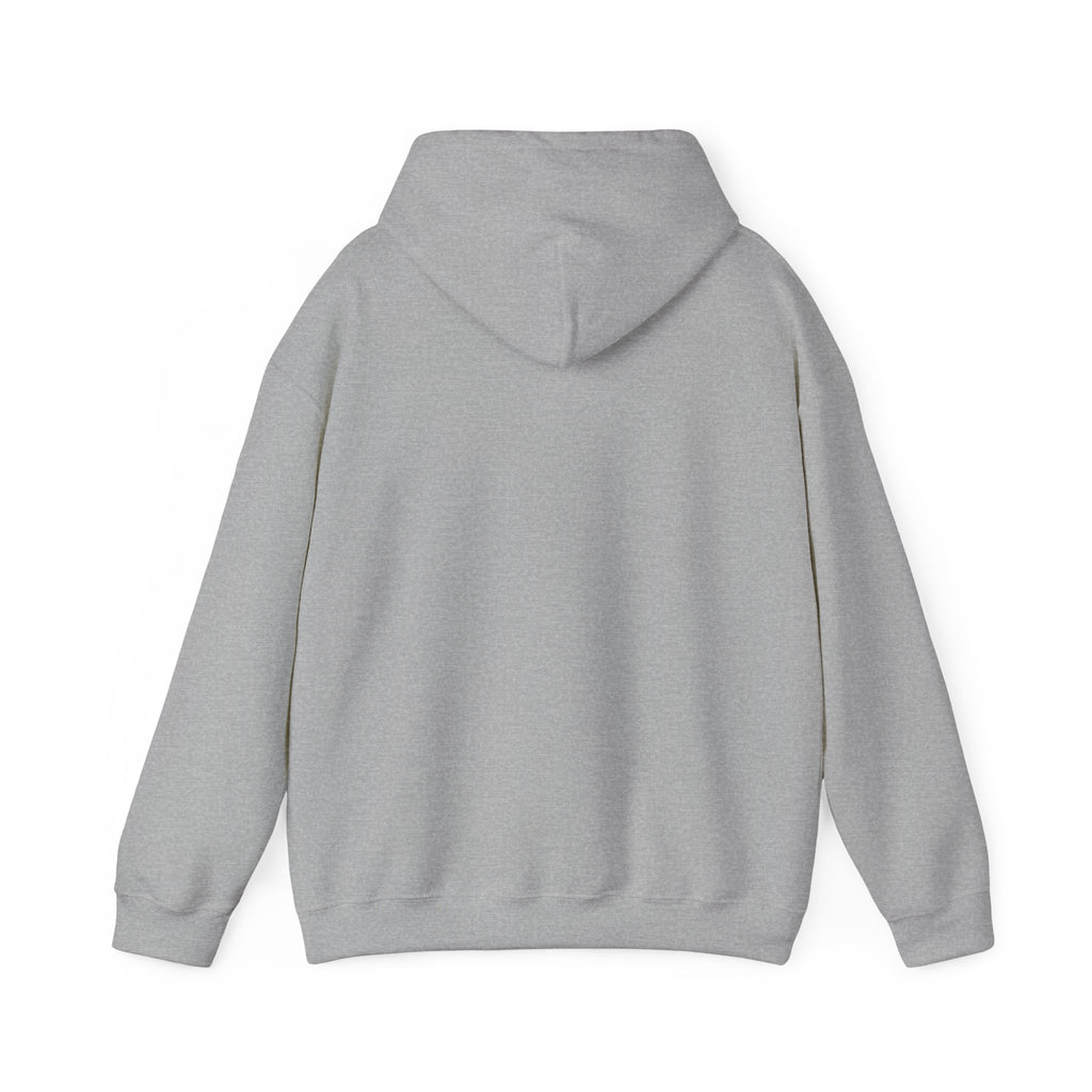Hoodie — "This Is Me Being Reasonable" Graphic Pullover