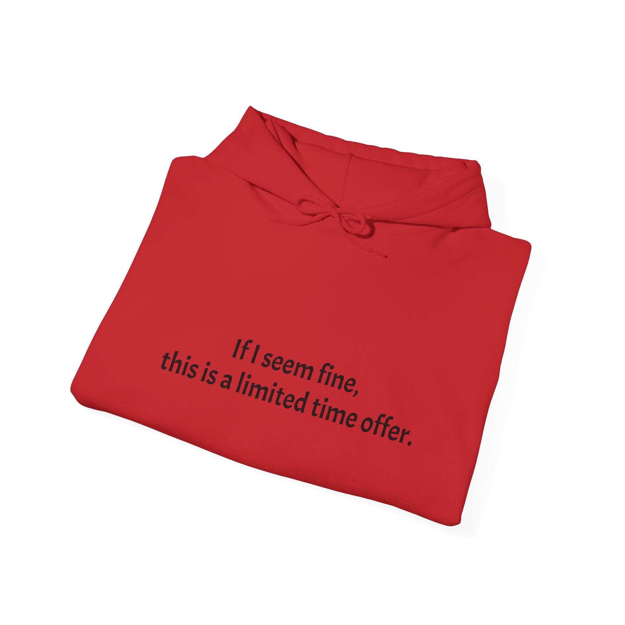 Hoodie — “If I seem fine, this is a limited time offer.” Minimal Comfort Pullover
