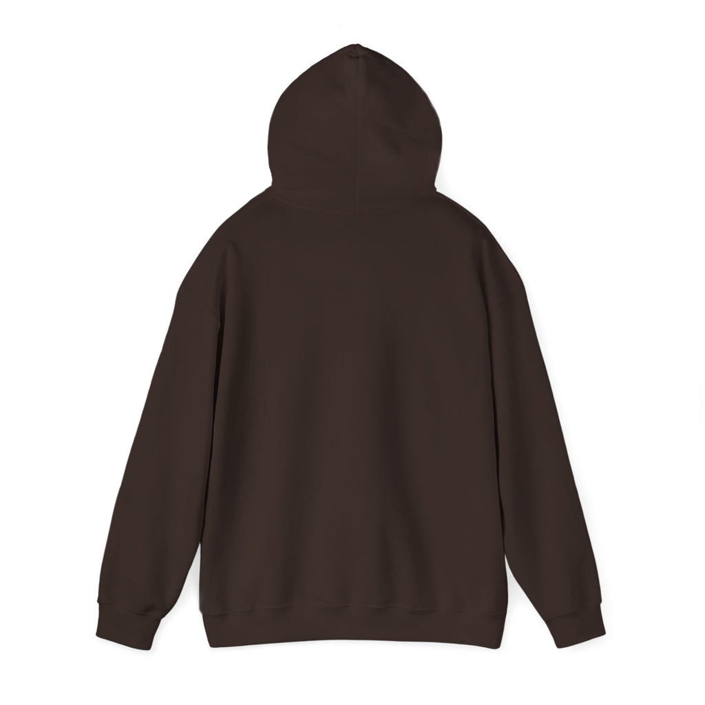 Hoodie — "This Is Me Being Reasonable" Graphic Pullover
