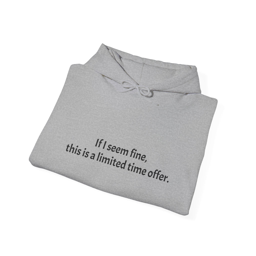 Hoodie — “If I seem fine, this is a limited time offer.” Minimal Comfort Pullover