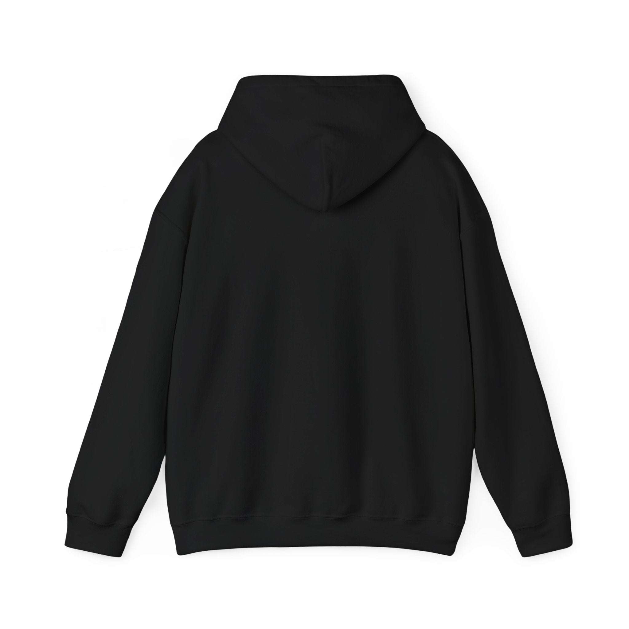 Hoodie - "Hot Flashes & Zero Tolerance" Retro Graphic Women’s Men’s Menopause Humor Pullover