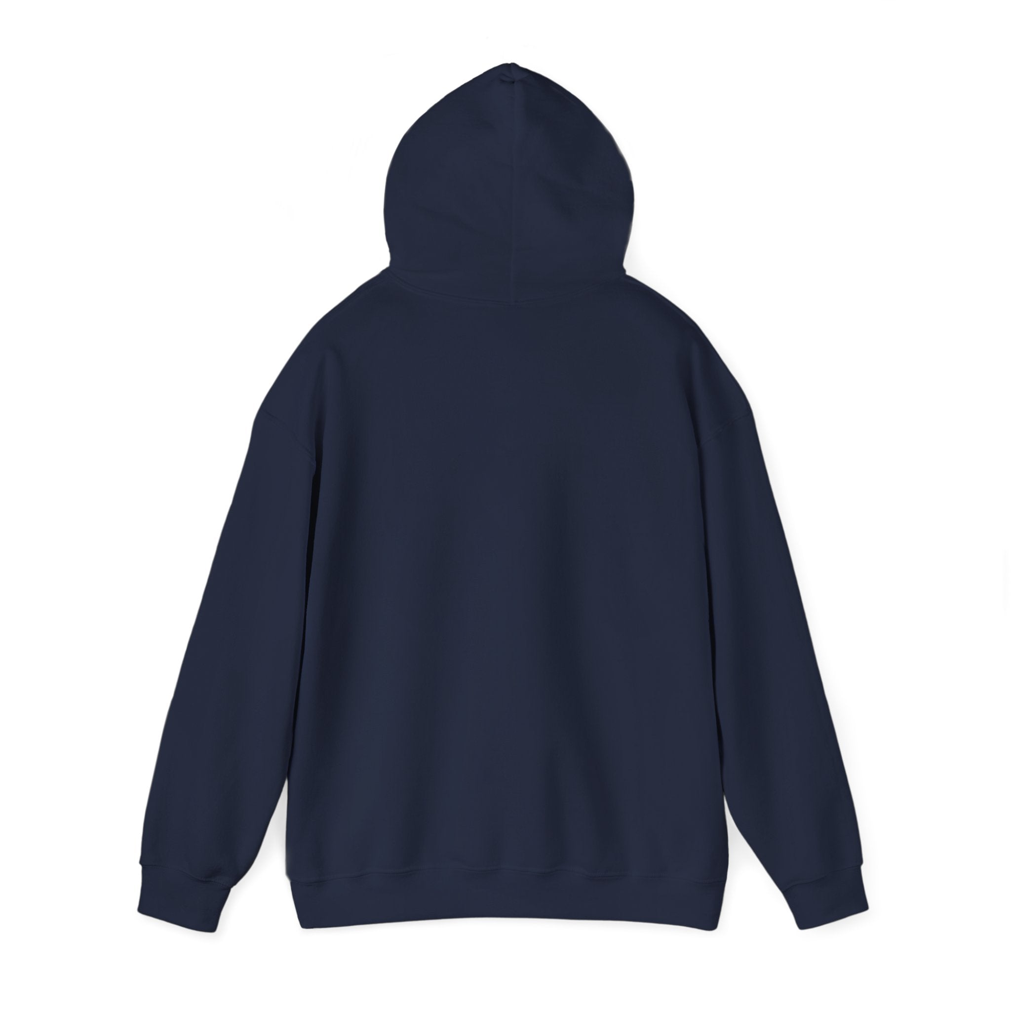 Hoodie - "Hot Flashes & Zero Tolerance" Retro Graphic Women’s Men’s Menopause Humor Pullover