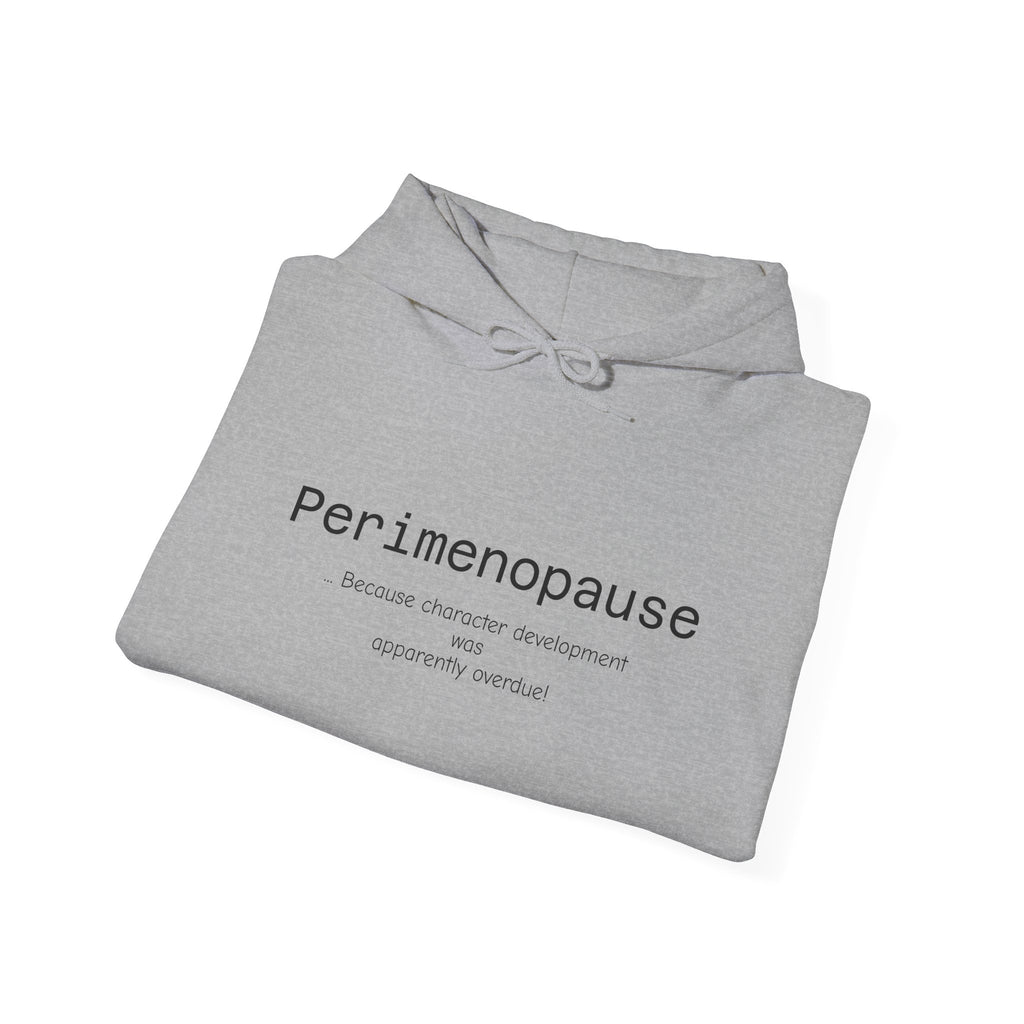 Perimenopause Hoodie — Minimalist Awareness Sweatshirt for Women