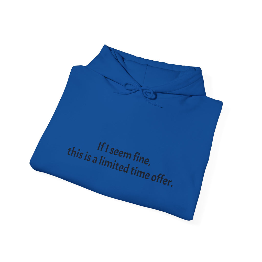 Hoodie — “If I seem fine, this is a limited time offer.” Minimal Comfort Pullover